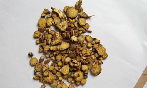 黄芩胶囊的功效与作用